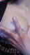 Private Photo of sissi1111