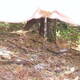 Private Photo of diavolettarossa